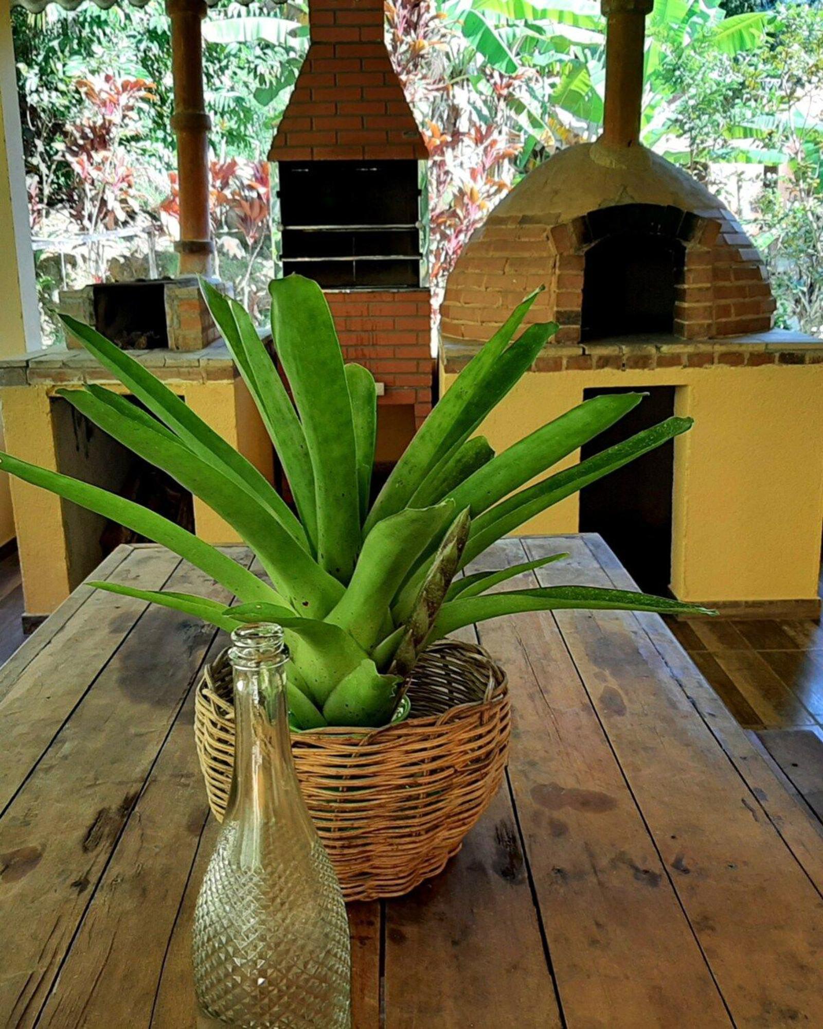 Casa Da Ilha Paraty Entre A Mata Atlantica E O Mar Villa ภายนอก รูปภาพ