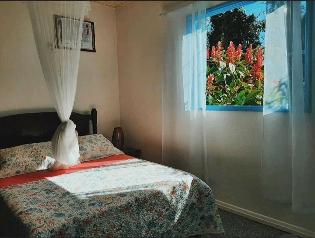 Casa Da Ilha Paraty Entre A Mata Atlantica E O Mar Villa ภายนอก รูปภาพ